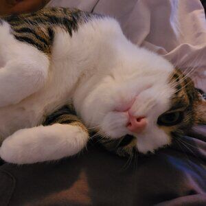 Meet your Posher, Deborah